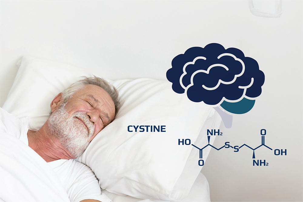 シスチンの摂取量と睡眠時間　～認知機能への影響～