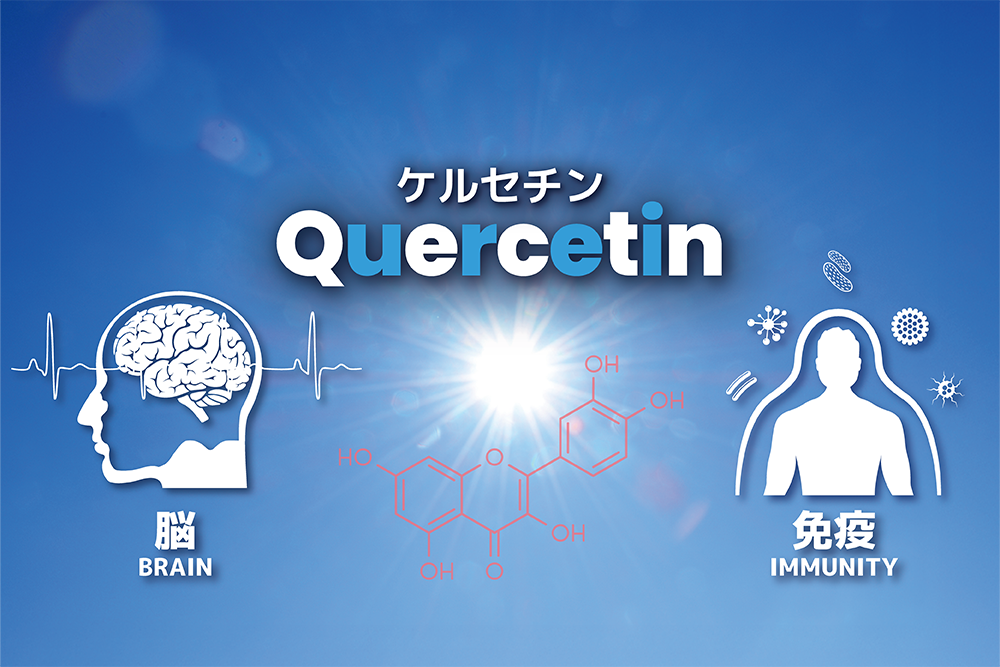 「脳と免疫の味方！ケルセチンの効果」　～研究が示す可能性とは～
