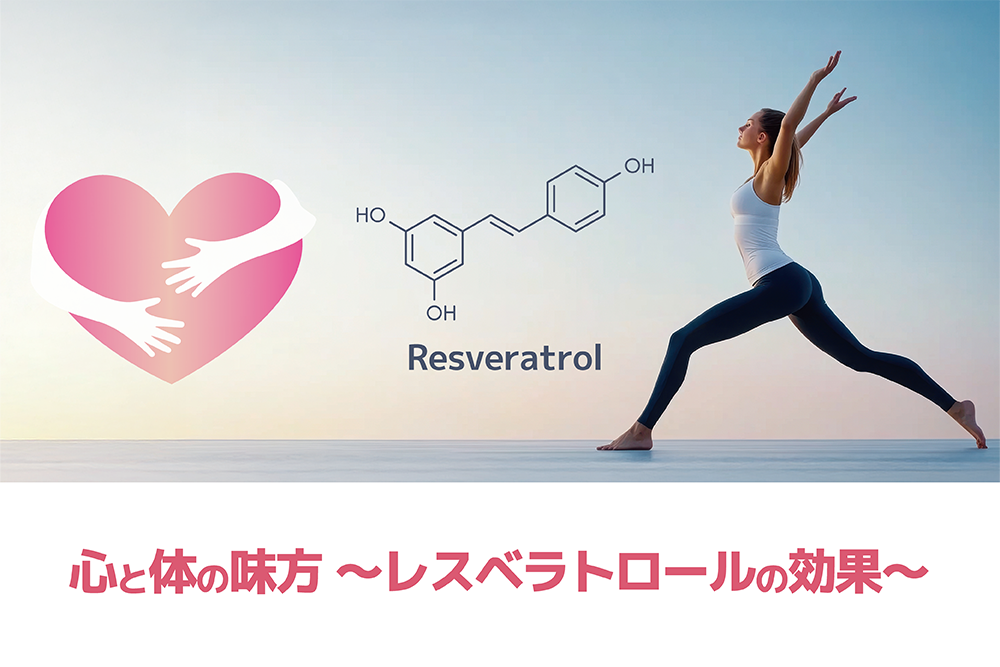 「心と体の味方  レスベラトロールの効果」～研究が示す可能性～