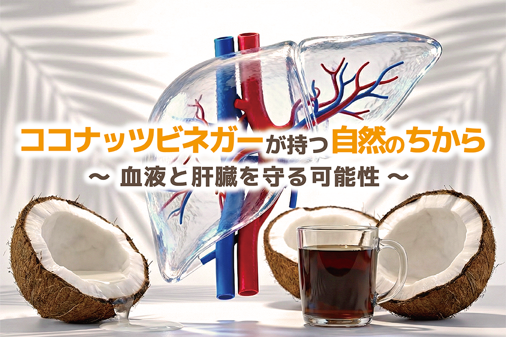 「ココナッツビネガーが持つ自然のちから」～血液と肝臓を守る可能性～